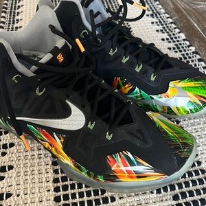 Nike LeBron II “Everglades” Size 9